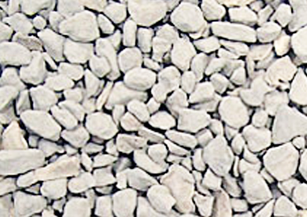 カキ貝化石